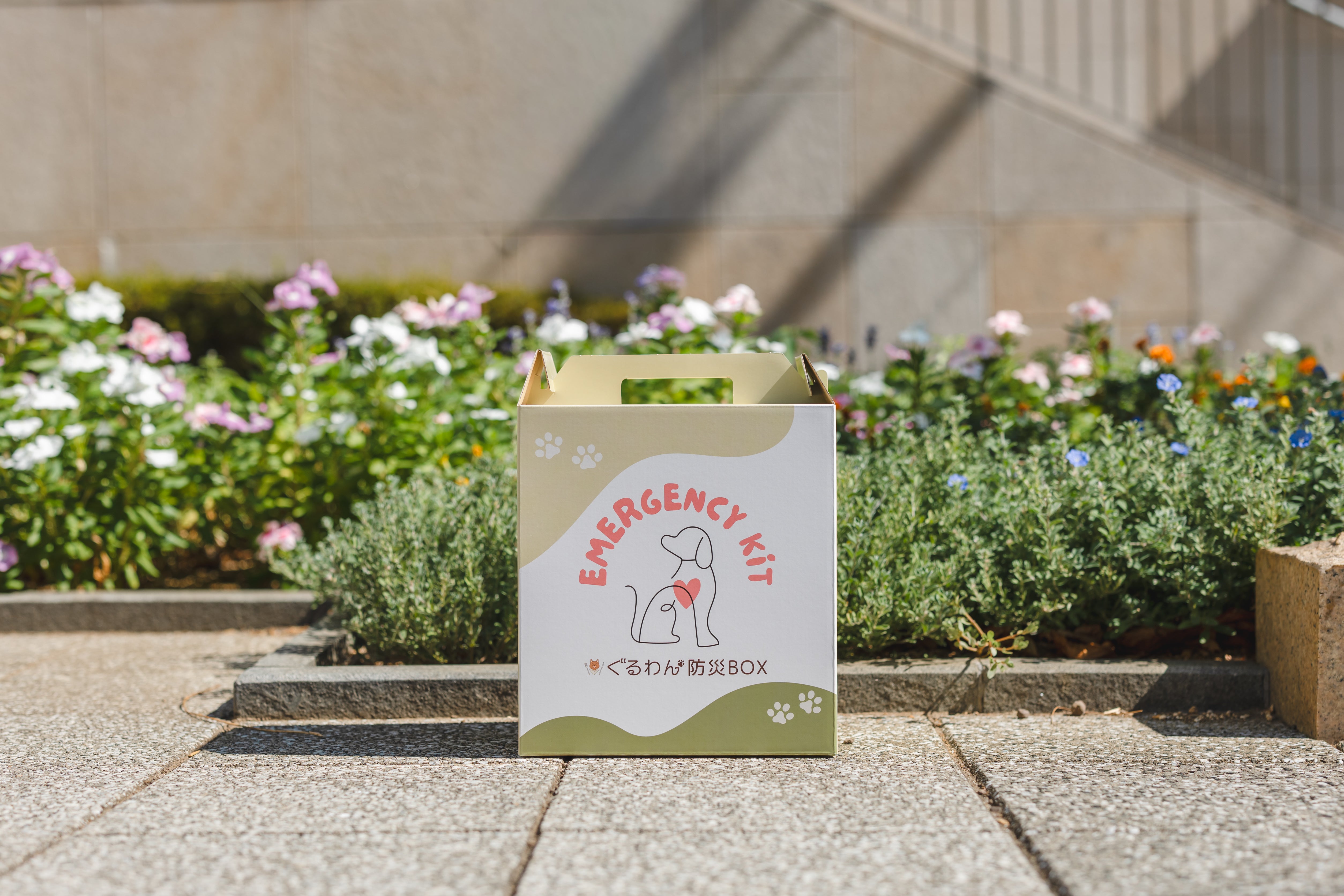 ぐるわん防災BOX＋ 3Days