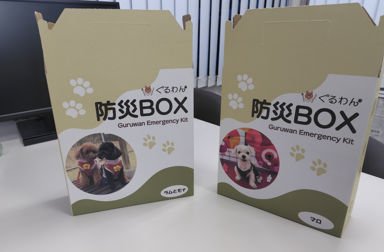 ぐるわん防災BOX  1Day